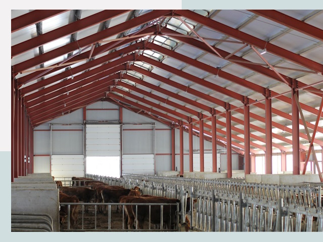 Строительство коровников в Орске