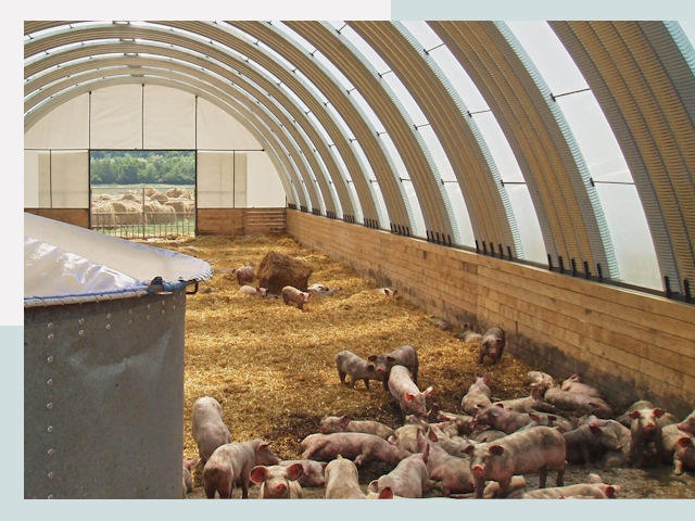 Строительство свинарников в Орске