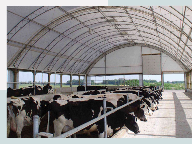 Тентовые коровники в Орске